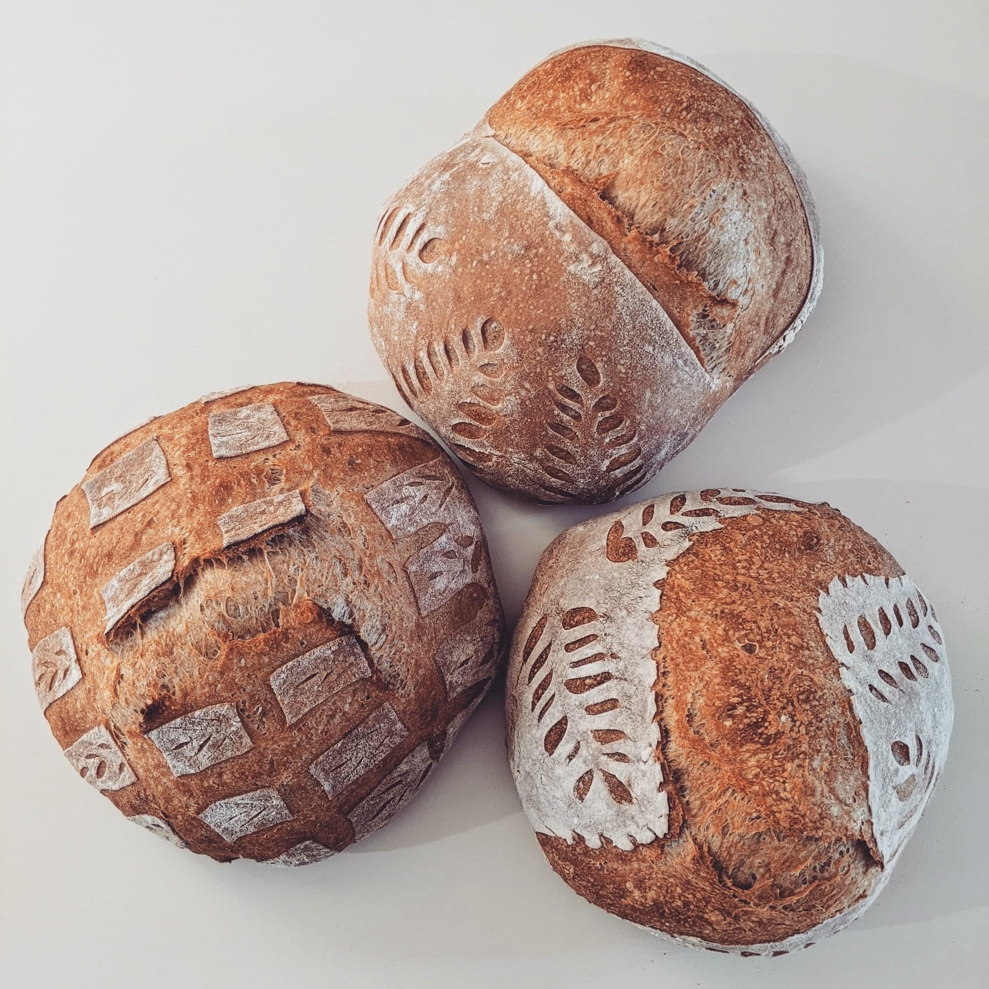 Products – Your Bread Box
